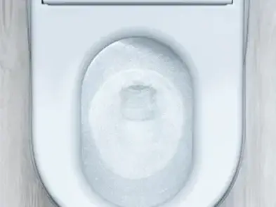 引用元：https://jp.toto.com/products/toilet/neorest：